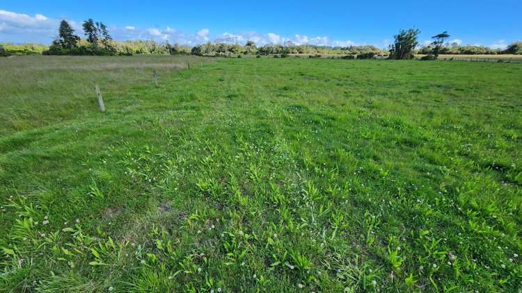 455 Surrey Road Tariki_1