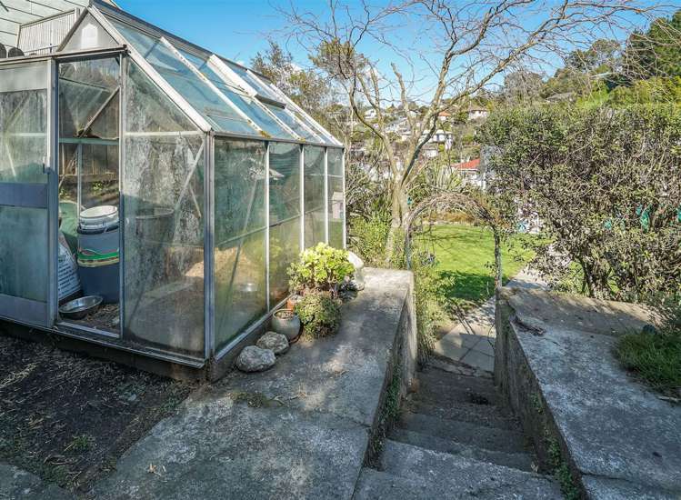 87 Toi Toi Street Toi Toi_13