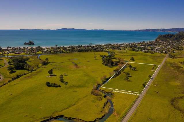 110 Te Punga Road Whangapoua_1