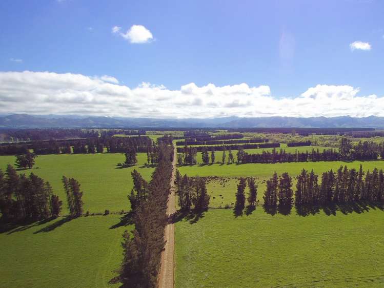 64 Lake Sumner Road Hawarden_16