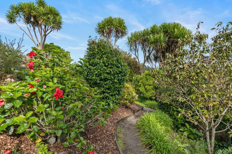 1152A East Coast Road Redvale_16