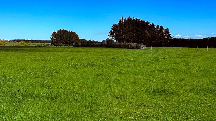 Dowling Road Longbush_1
