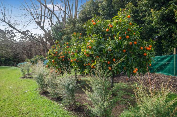 48 Access Road Kerikeri_18