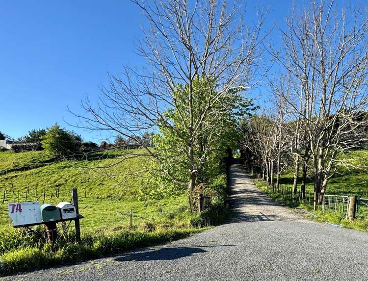 74B Willoughby Road Katikati_4