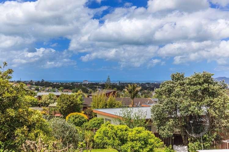 56a Monarch Avenue Hillcrest_11