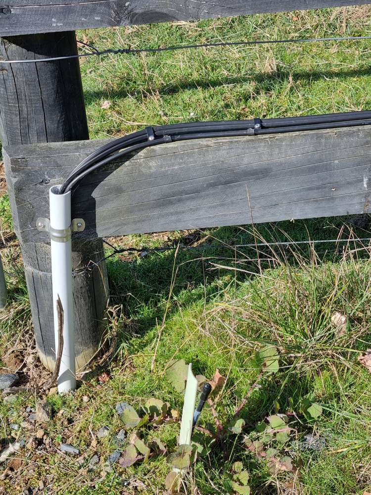 1/109 Mcclintock Street Pirongia_13