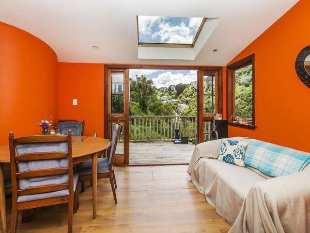 11 Irvine Street Aro Valley_3