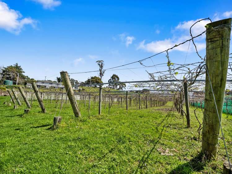 84B Kaiwha Road Welcome Bay_32