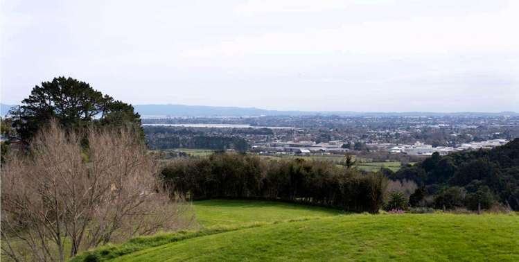 528 Ponga Road Opaheke_21