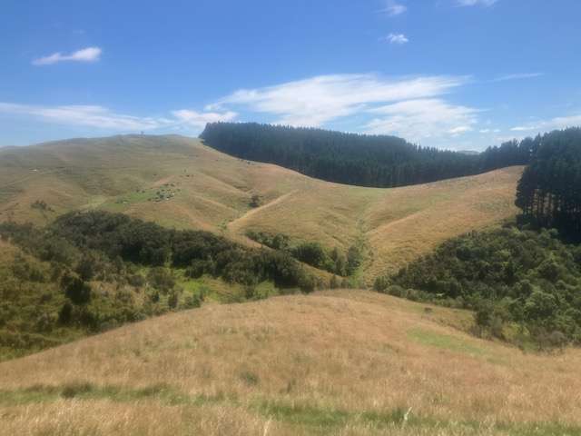 25 Mangamaire Road Dannevirke_2