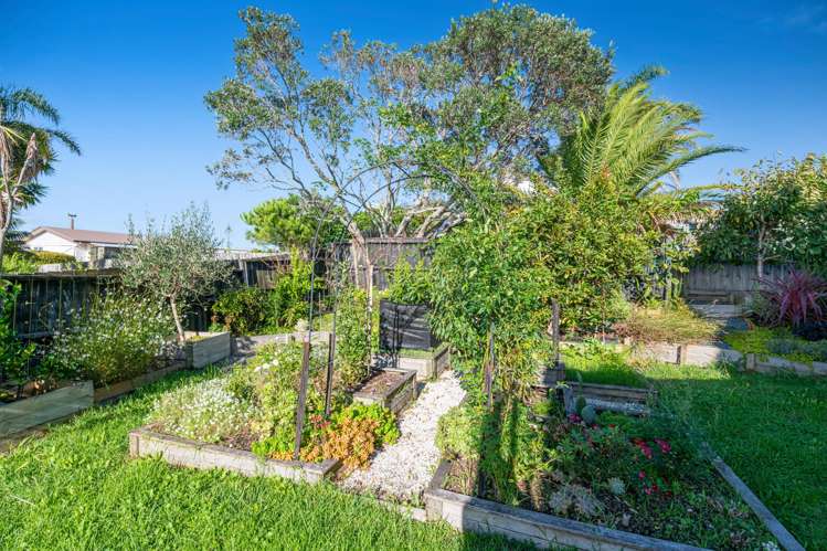 49A Everard Avenue Army Bay_16