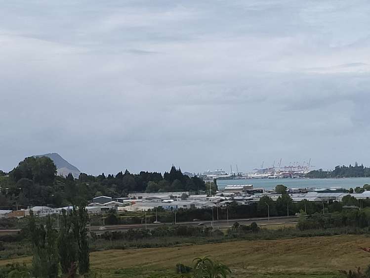 23 Murray Street Gate Pa_2