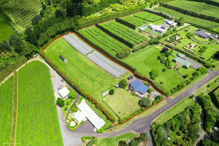 54 Sinclair Road Whakamarama_16