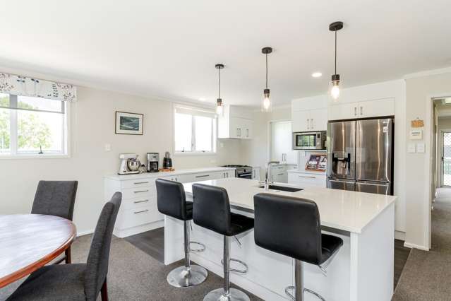 120 Guppy Road Taradale_4