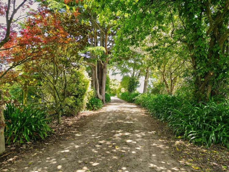 25 Harrison Road Fordell_19