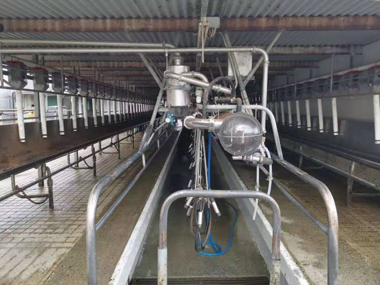 428 Leeston Road Springston_11