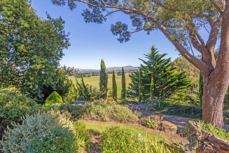 359 Hurunui Mouth Road Domett_21