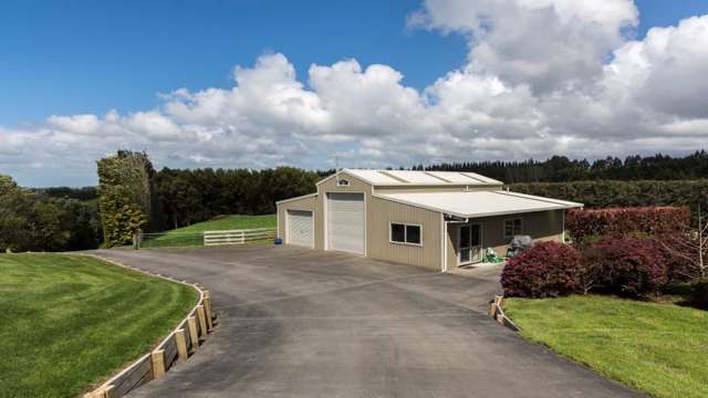 237a Busby Road Hauraki Surrounds_2