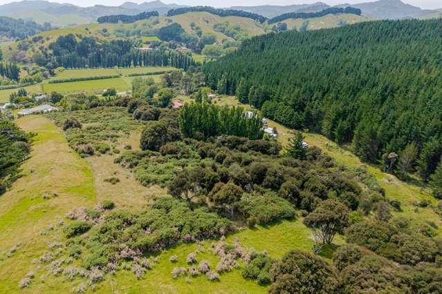 4/4101 Masterton Castle Point Rd, Tinui Masterton_3