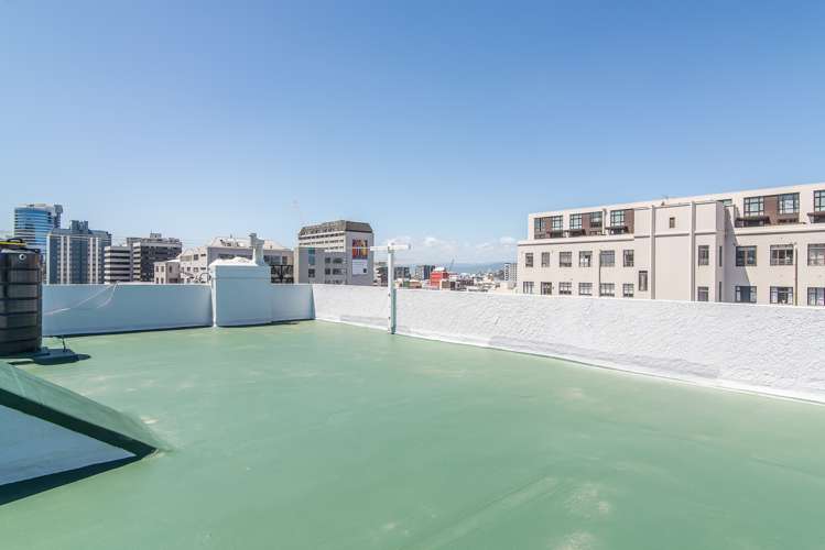 7/4 Oak Park Avenue Te Aro_9