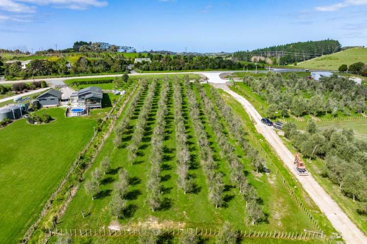 Lot 1/3 Bagnal Road Mangawhai_14