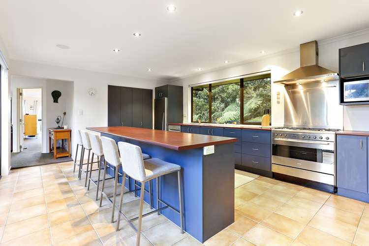 301 Wright Road Dairy Flat_7