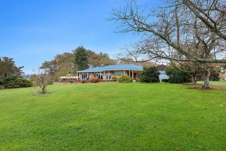 81D Horrell Road Morrinsville_2