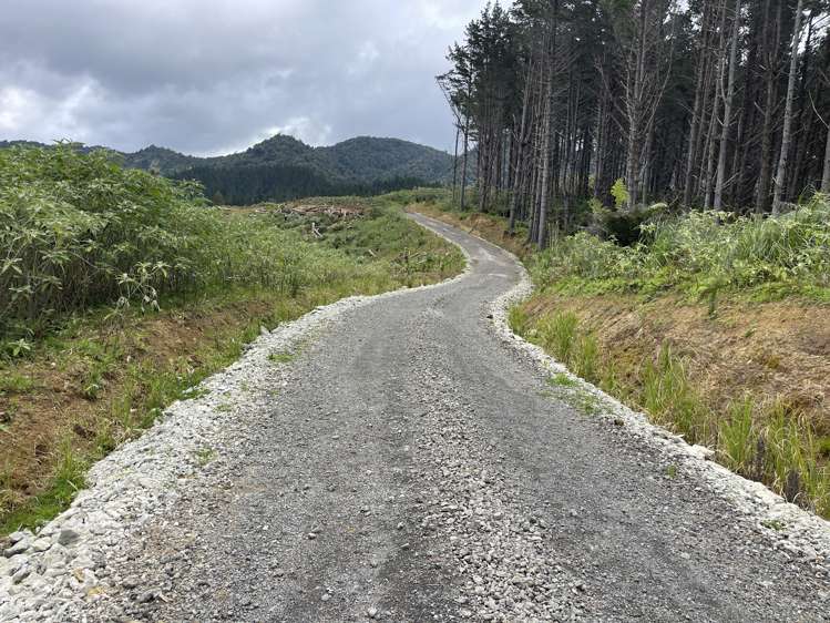 Iwitaua Road Kaitaia_1