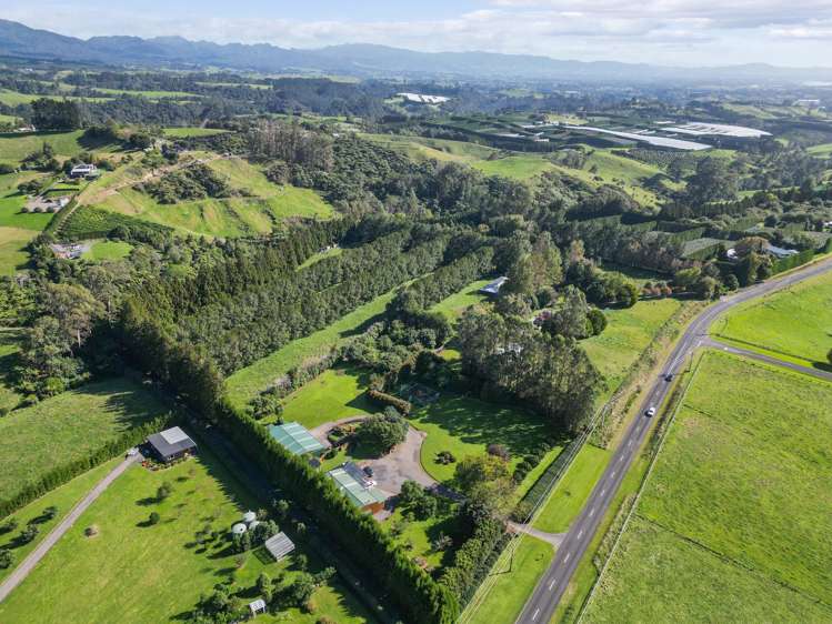 482B Esdaile Road Whakamarama_7