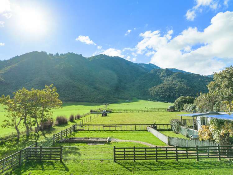 1349 Queen Charlotte Drive Anakiwa and Surrounds_14