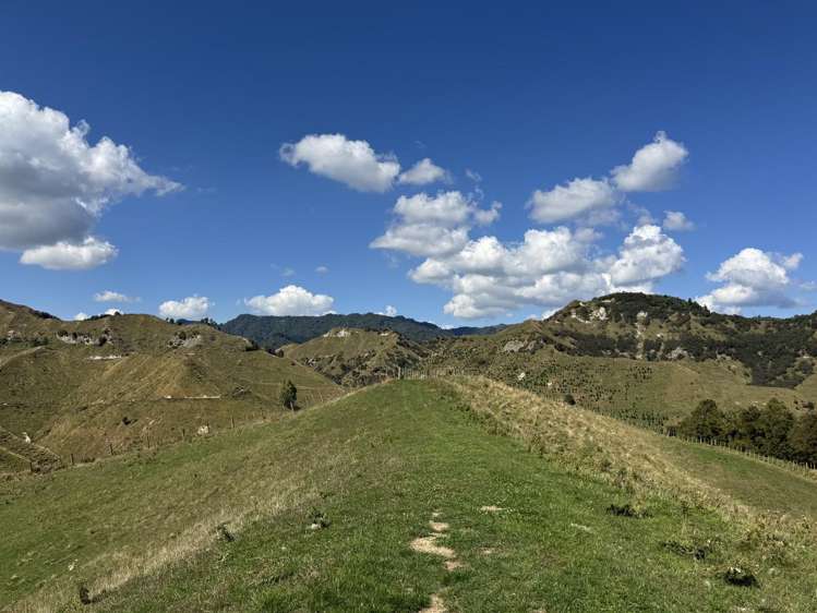 637 Makakahi Road Ruatiti_15