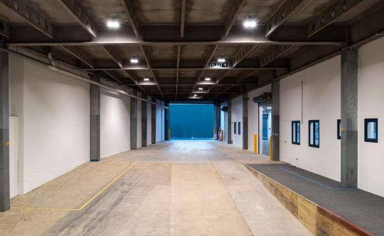 93 Dominion Road Mount Eden_5