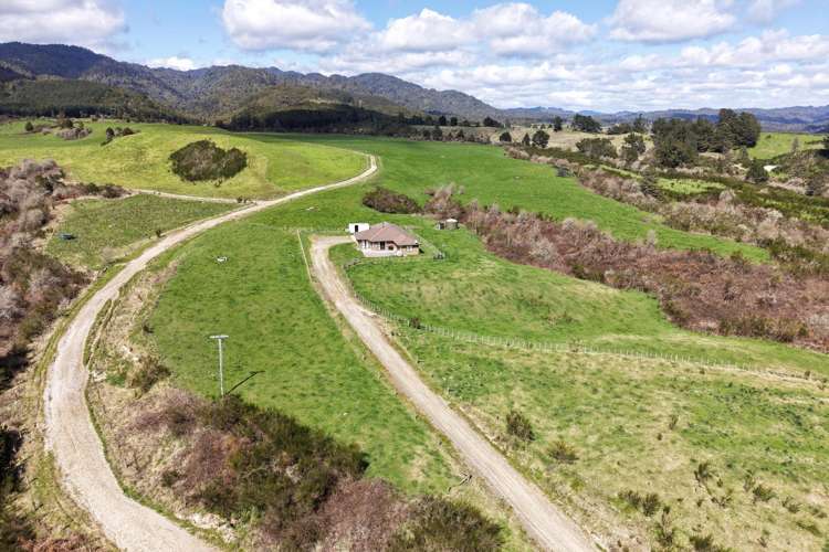 283 Minginui Road Galatea_48