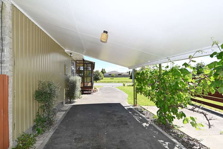 193 Westminster Avenue Tamatea_19