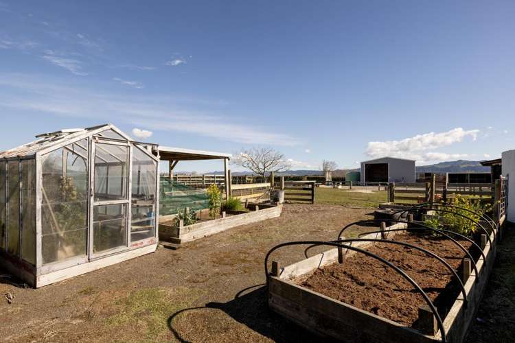 84 Grieve Road Otakiri_17