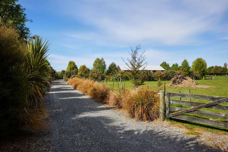 238a Mount Fyffe Road Kaikoura_36