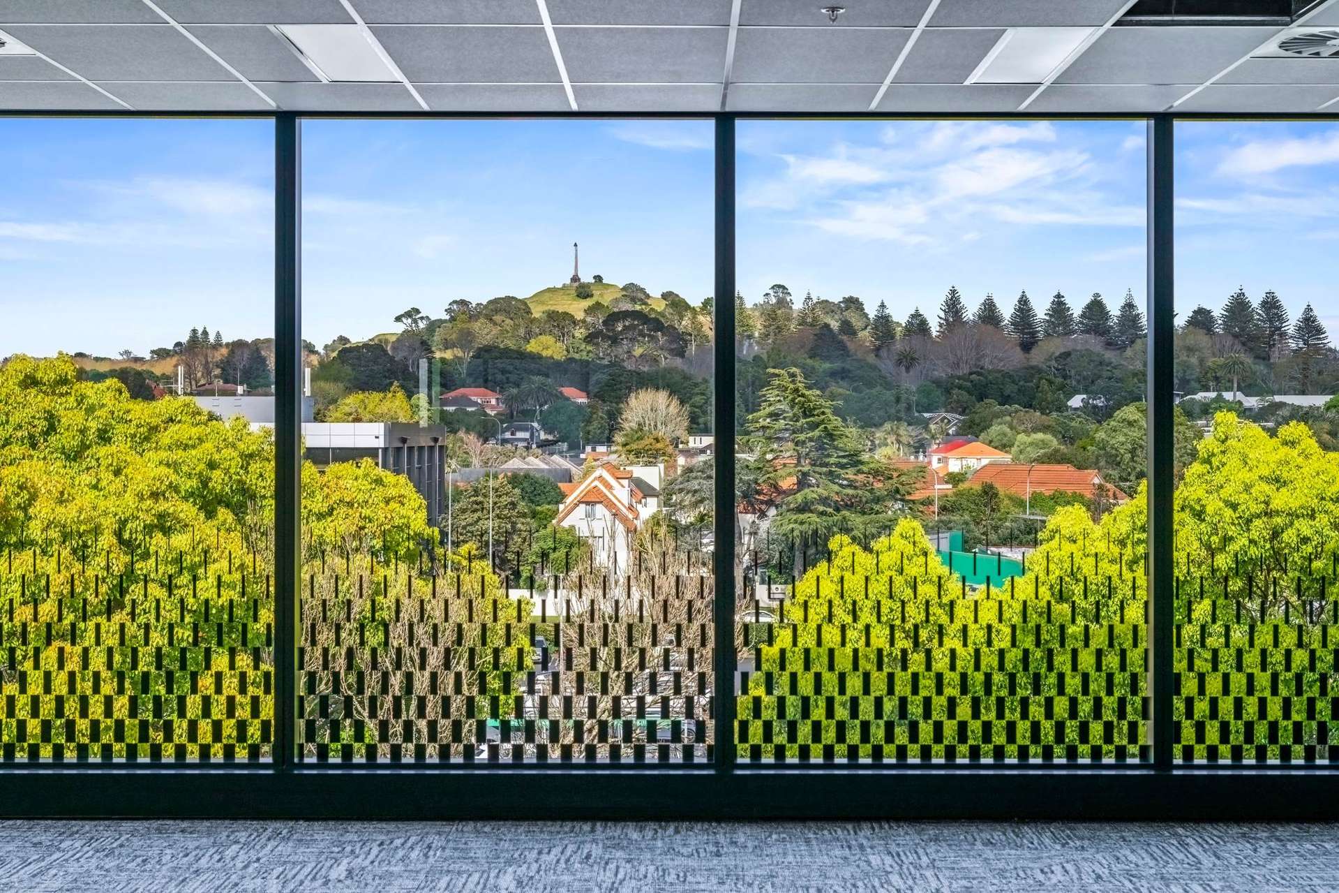 9 Marewa Road Greenlane_0
