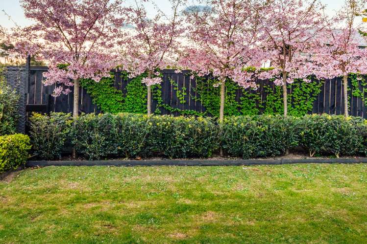 2 Ridge Road Oneroa_21