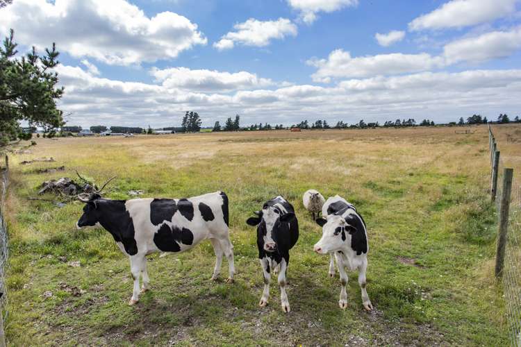 216 Dog Trial Road Oxford_17