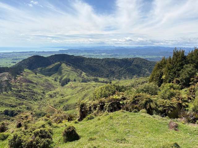 284 Mccarthy Road Opotiki and Surrounds_1