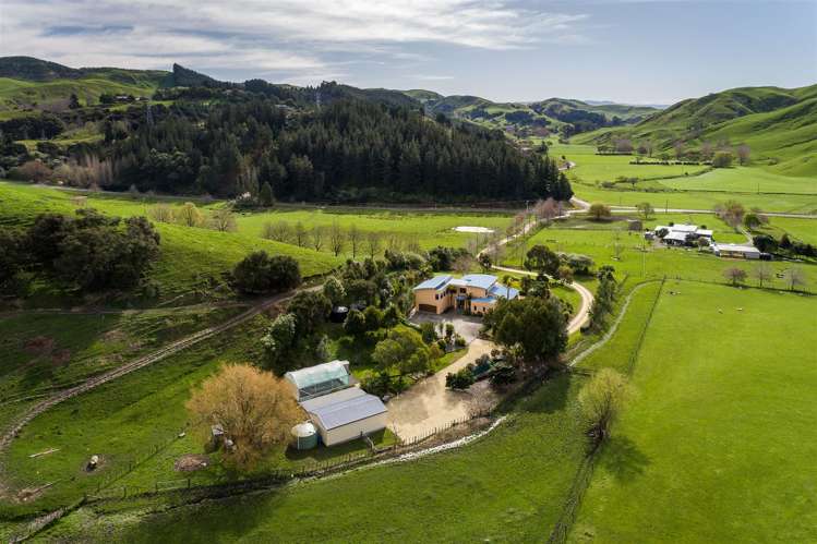 409 Seafield Road Eskdale_19