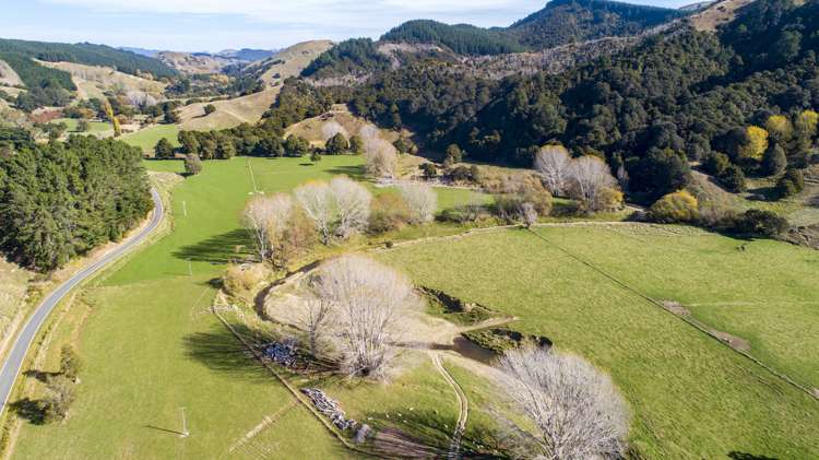 338 Tinui Valley Road Tinui_16