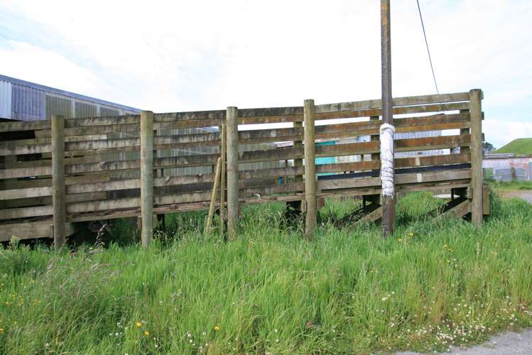 775 Bird Road Stratford_16