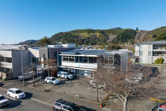 2/55 Collingwood Street Nelson_1