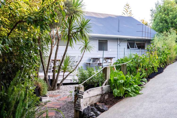 23 Wintle Street Mangawhai Heads_7