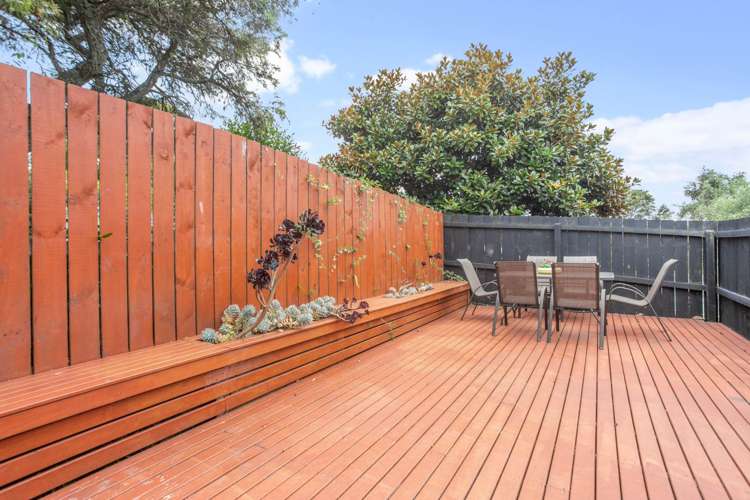 23a Felton Mathew Avenue Saint Johns_4