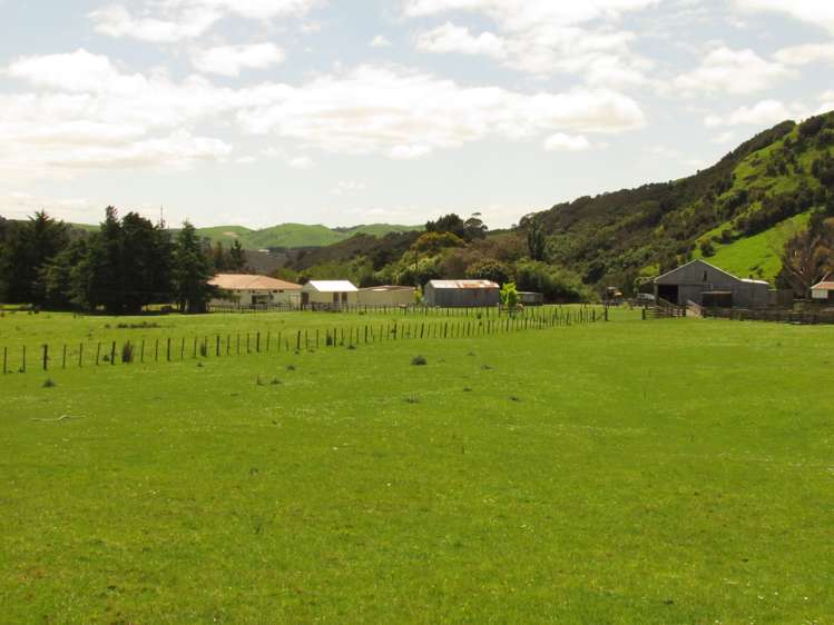 139 Clay Creek Road Ruakokoputuna_8