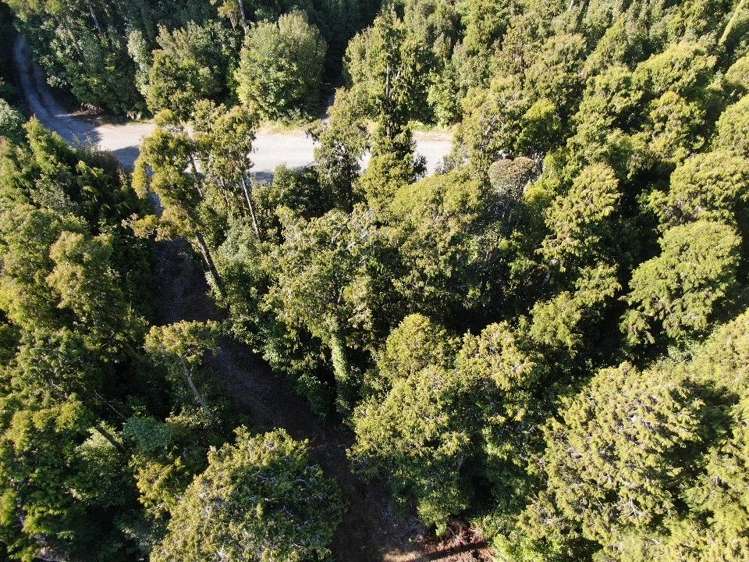 5 Jackson Place Kumara Junction_7