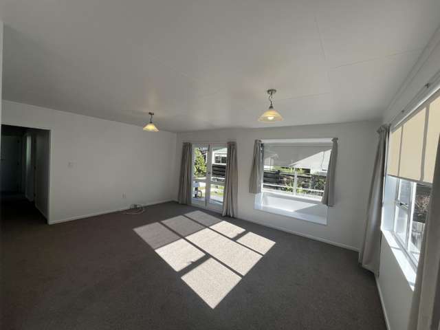 17A Thames Street Welbourn_2