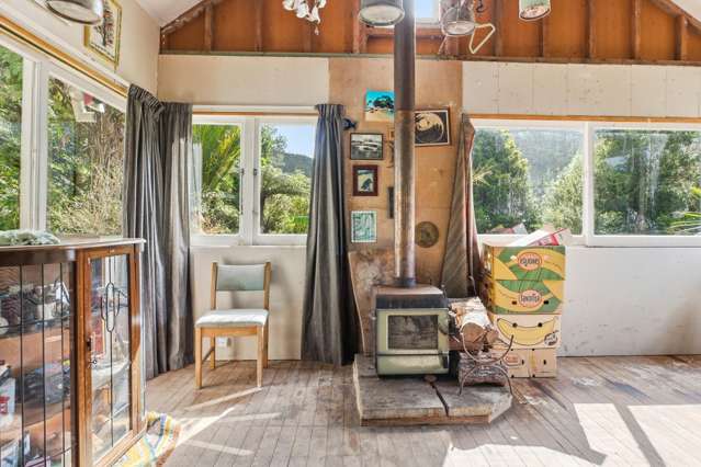 294 Tapu Coroglen Road Tapu_1